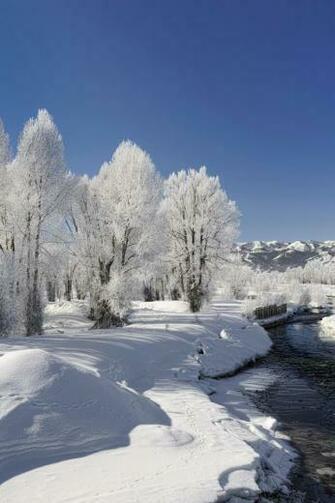 Winter Landscape Desktop Wallpaper