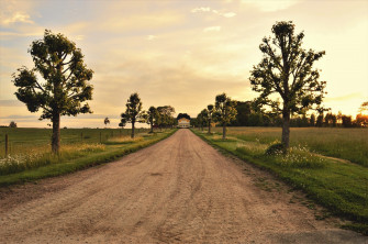 Country Roads Wallpaper