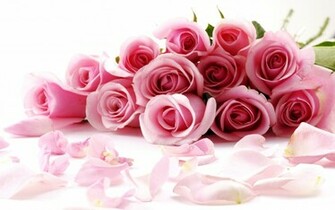 Awesome Roses Wallpaper HD
