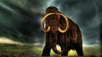 HD Wallppaers Animal Wallpaper 1080p