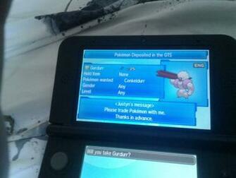 Please Trade Pok Mon Amino