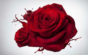 Love Wallpaper Widescreen