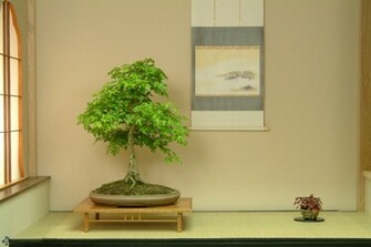 Bonsai Wallpaper Empire