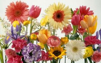 Springtime Photos Wallpaper