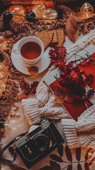 Cozy Fall iPhone Wallpaper Cute