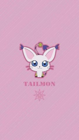 Gatomon Wallpaper Discovered By Prg On We Heart It