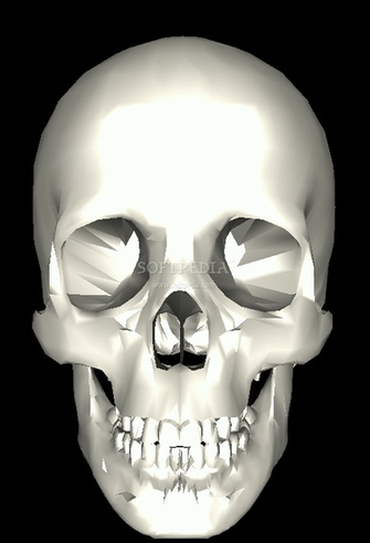 Screenshot Of Ancient Skull Screensaver 3d