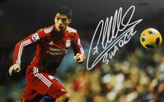 Luis Suarez Wallpaper Pictures Image