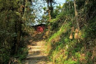 Hiking Trails Wallpaper