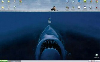 Funny Wallpaper For My Desktop In HD