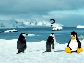 Linux Penguin Wallpaper HD Widescreen Desktop Background