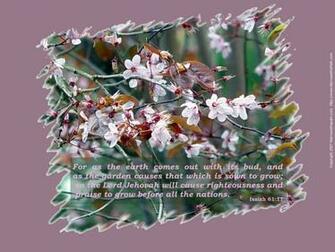 Christian Wallpaper Signs Of Springs