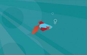 Fish Microsoft Windows Wallpaper