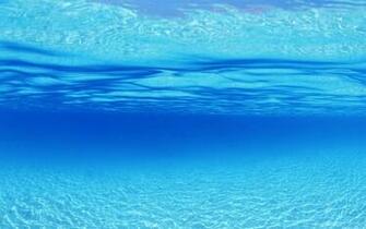 Sea Wallpaper Reptiles Turtle Marine Underwater Fantom Blue
