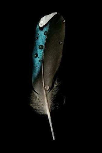 Cass Mc On Western Art In Feather Wallpaper