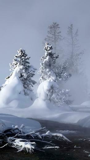 Winter iPhone Wallpaper