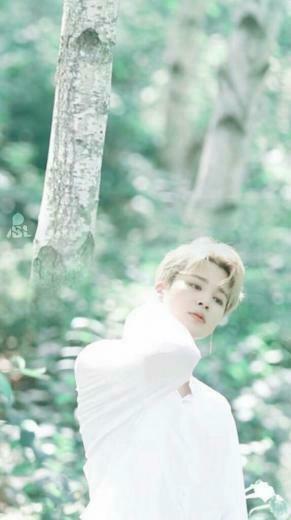 Pre Bts Season S Greetings Spot Jimin
