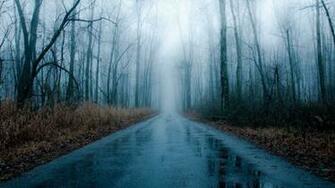 Forest Foggy Rainy Road Bare Winter Fog Rain Live Wallpaper
