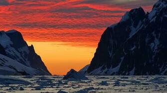 Red Antarctica Bing Wallpaper