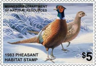 Pheasant Forever Wallpaper Pheasants Ing