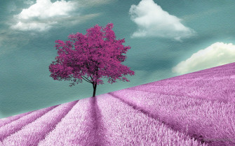 Purple Tree Wallpaper