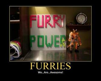 Furry Fox Wallpaper Inspirational By