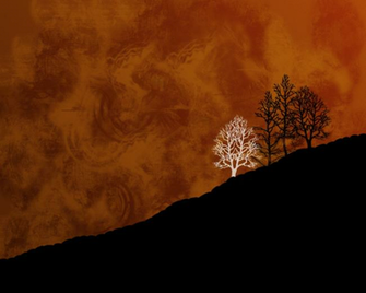 Wallpaper Orange Black By Z3r0