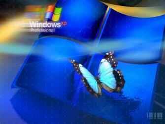 Computer Microsoft Windows Xp Desktop Wallpaper900 Html