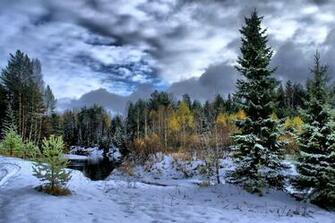 Image Result For Taiga Forest Wallpaper Babushka Inspiration