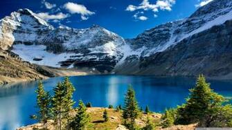 Lake O Hara Yoho National Park British Columbia Canada 4k HD