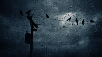 Rain Wallpaper Copd Foundation