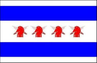 Psyop Chicago Flag By Joefanarti