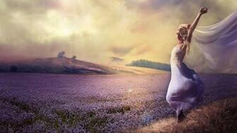 Lavender 1080p Wallpaper High Definition Quality