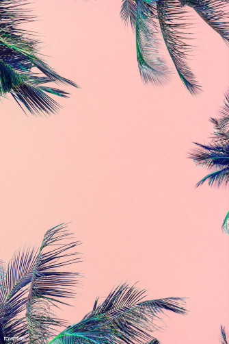 Palm Leaf Wallpaper