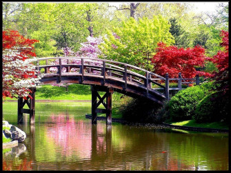 Take A Break And Visit Nature For Spring Desktop