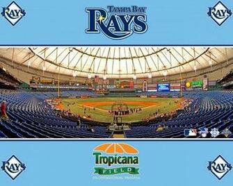 The Top Things To Do In Tampa Bay St Petersburg