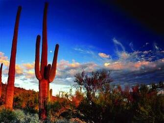 Digital Photography Ten Landscape Photographs
