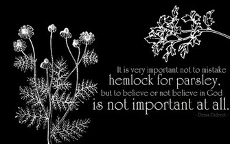 Hemlock Parsley Atheism Wallpaper
