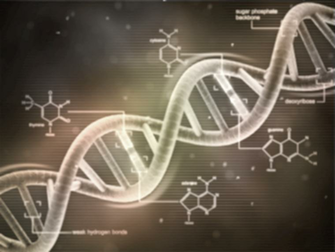 Biochemistry Wallpaper