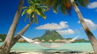 Tropical Beach Resort And Palm Hammocks Wallpaper Pictures