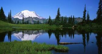 Mount Rainier National Park Wallpaper