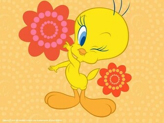 Tweety Bird Wallpaper Photo Gallery Picture