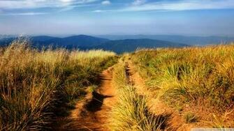 Hiking Path Wallpaper Pathhiking