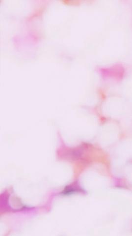 Gorgeous iPhone Plus Wallpaper Preppy