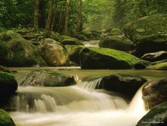 Roaring Fork River Great Smoky Mountains National Park Tennessee