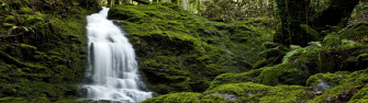 Green Mos Multiple Display Landscape Nature Waterfall 4k