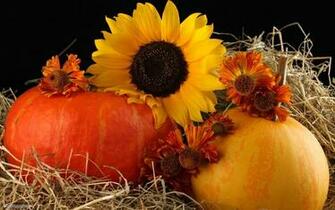 Autumn Lights Picture Harvest Desktop Wallpaper