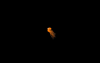 Octopus Wallpaper