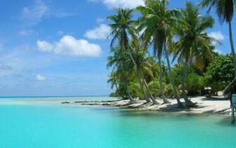 Palm Tree Beach Wallpaper Image Gallery