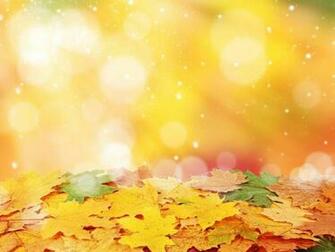 Bright Sunny Day In Autumn Hq Wallpaper